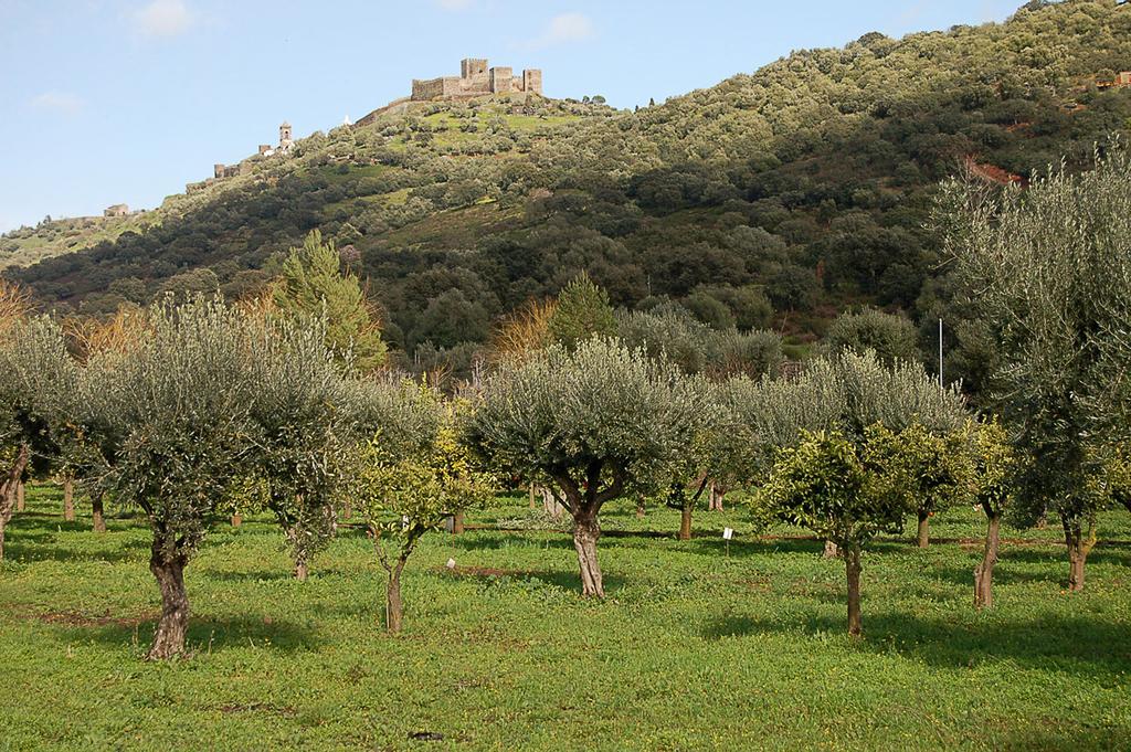 Monte Do Laranjal Hotel Monsaraz Luaran gambar